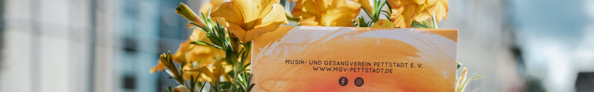 2 sommerserenade 2024 farbe 2