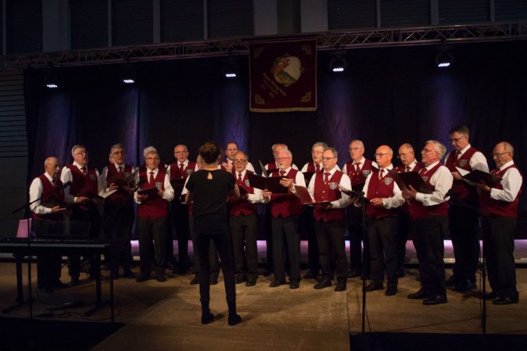 100 Jahre Musik- und Gesangverein Pettstadt: Ein Jubiläumskonzert mit besonders hohen Ehrungen